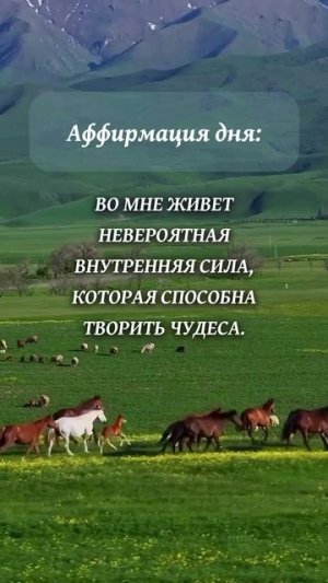 Аффирмация дня