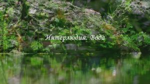 4-1. Интерлюдия 4. Вода