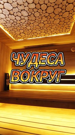 Чудеса вокруг