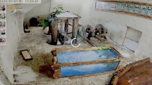 У медвежат в детской комнате появился новый атрибут-чтобы не скучали