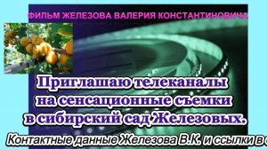 Приглашаю телеканалы на сенсационные съемки в сибирский сад Железовых.