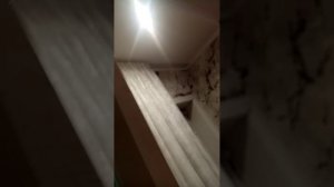 Челенж по цветам