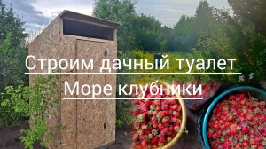 КУПИЛИ ЗАБРОШЕННУЮ ДАЧУ, ПЕРВАЯ ПОСТРОЙКА НА УЧАСТКЕ СВОИМИ РУКАМИ И МОРЕ КЛУБНИКИ