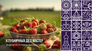 Фермер из Устюжны выиграл грант на клубнику