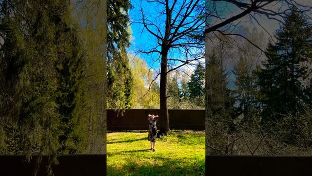 Наслаждаюсь весной! #dance смотреть онлайн