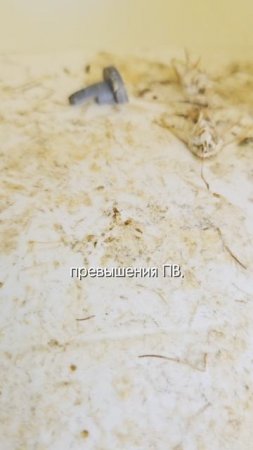 Какая польза от феромонных ловушек #инсектициды #вредители #агроном #сельскоехозяйство
