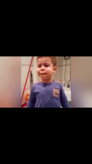 Животные приколы и не только