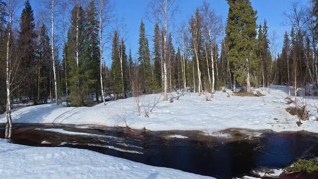 Едем на гусиную охоту с отцом смотреть онлайн