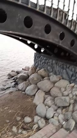 1000027229.mp4