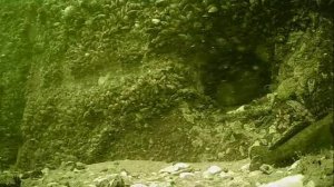 1000046024.mp4Волга гл.5м 07.07.2025г.