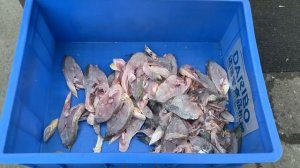 слайсер для рыбы 45 С