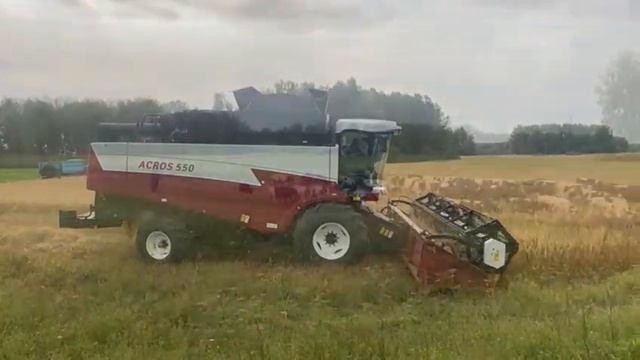 Кфх Щукино смотреть онлайн