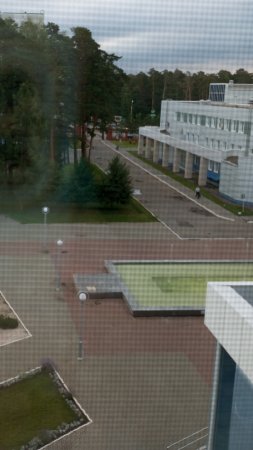 мудрые мысли других
