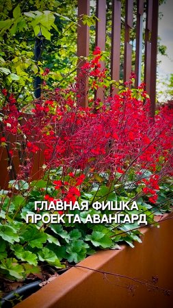 Главная фишка проекта Авангард