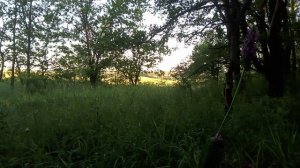 На основе чего нужно принимать важные решения в жизни