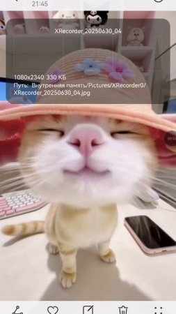 Отвечайте некоторые вопросы каторые вы можете задать если вам что то нервует смотрите на котика