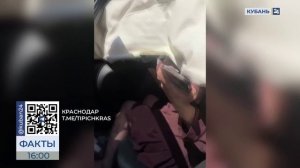 В полиции Краснодара рассказали подробности ДТП на улице Командорской