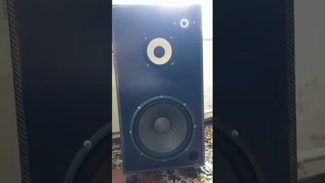 1000000889.mp4