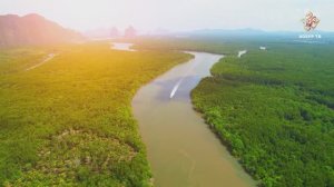 Төп углевод җитештерүчеләр | Гаҗәеп дөнья серләре. Үсемлекләр дөньясы