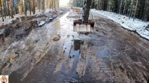 Строительство, лесная дорога, продолжение