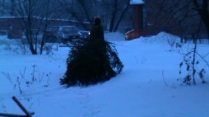 ВИДЕО СТАРОЕ ГОД НЕ ПОМНЮ   1часть