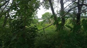 Не было печали, купили... Отдыхаем и работаем в деревне