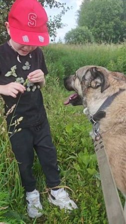 Каюна