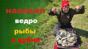 наловил ведро рыбы