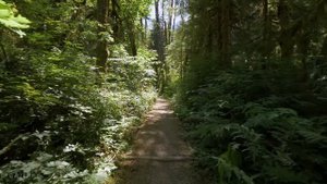 КП – Рождественский 2025 ИЮНЬ