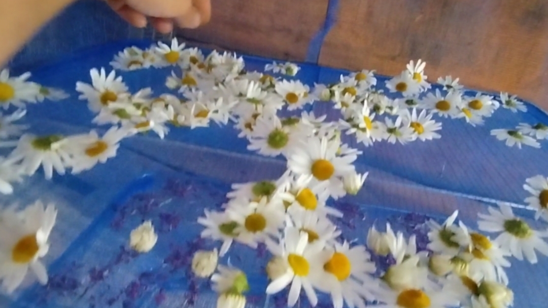 А мне нравиться и вас призываю 👍.