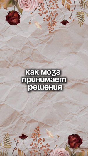 Как мозг принимает решение