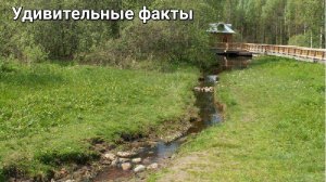 🎥 Исток рек: где рождаются великие водные артерии? 🌊