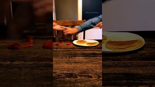 Животные приколы и не только
