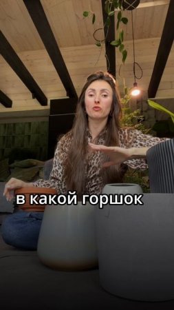 #фитодизайн #озеленение #комнатныерастения