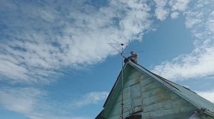 Дача в Подмосковье, начало июля, благоустраиваем потихоньку