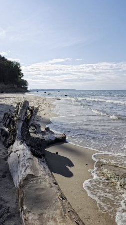 Сапборд-приключение: встреча с морем