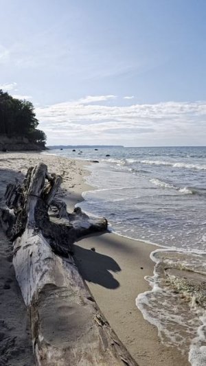 Сапборд-приключение: встреча с морем