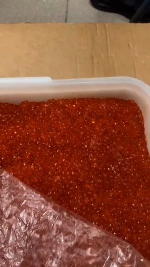 заказы принимаю горбуша