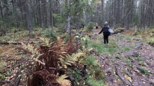 Поход в горы пешком Часть 2