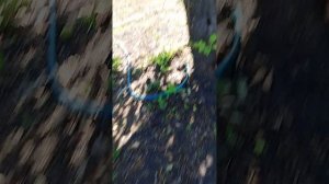 асмр на даче чек😘🥰🤯😋🤤🥺🫢🤭🥱🤗🤪😜😝😛🥴🙂↕️😌