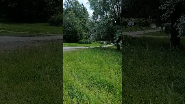 Злобствует