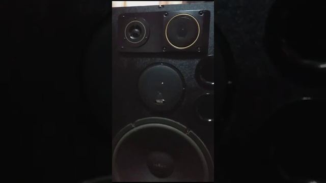 1000011836.mp4