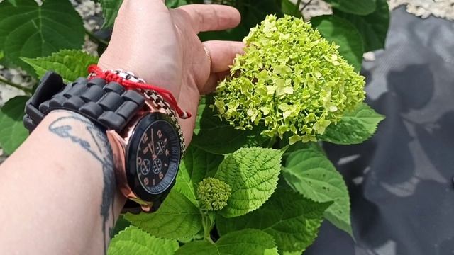 КЛАССНЫЕ ПОКУПКИ ДЛЯ ДОМА ФИКС ПРАЙС/МАГНИТ КОСМЕТИК 🛍