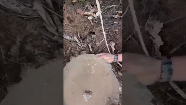 Эта ГРЯЗЬ может сделать вас МИЛЛИОНЕРОМ