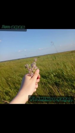 Постараюсь скоро сделать ролик с гачей!
#видео #мояжизнь #моментыизжизни #рек #музика
