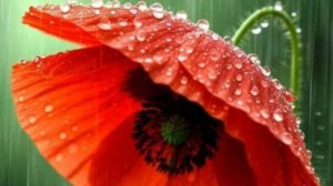 Доброе утро с пожеланиями настроения ☕ НОВИНКА