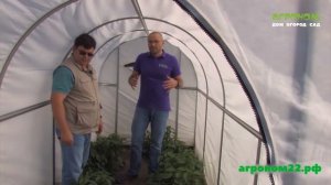 Финал эксперимента с Чудотеплицей и Агрощитом