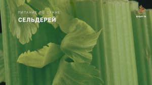 Сельдерей | Питание по сунне