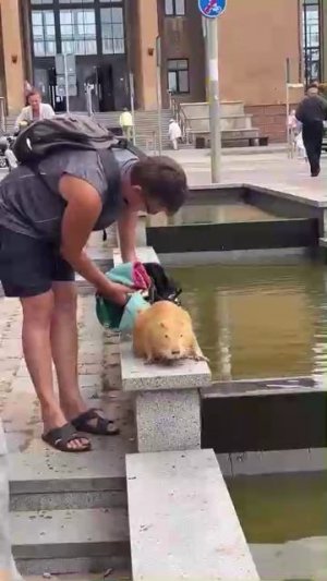 ЛюБоОвЬ к братьям нашим меньшим )))