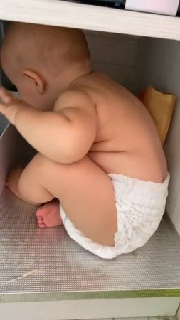 Животные приколы и не только